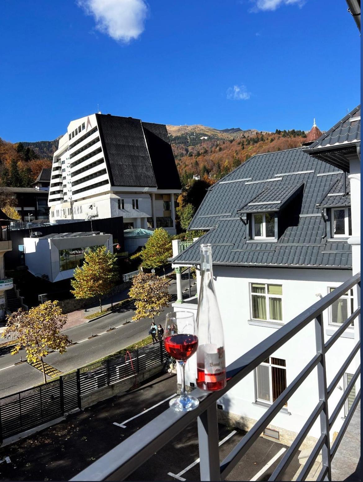 Ana Apartments Sinaia Luaran gambar